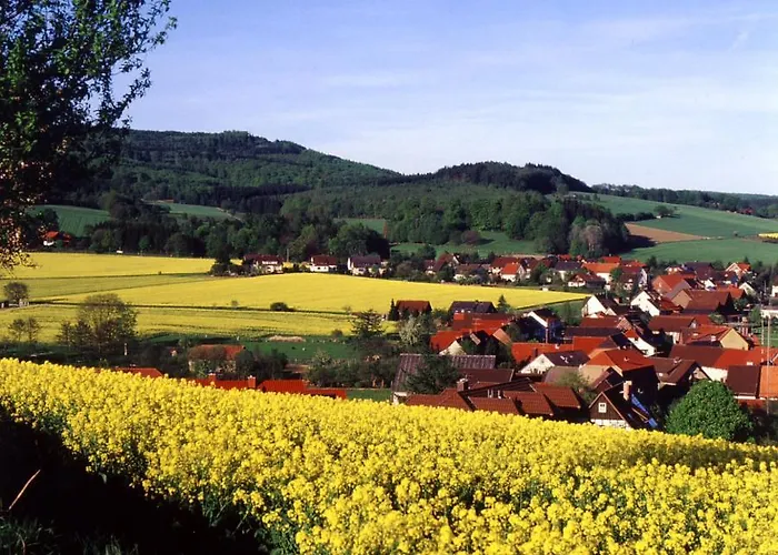 Johanning Ek Gasthuis Uslar